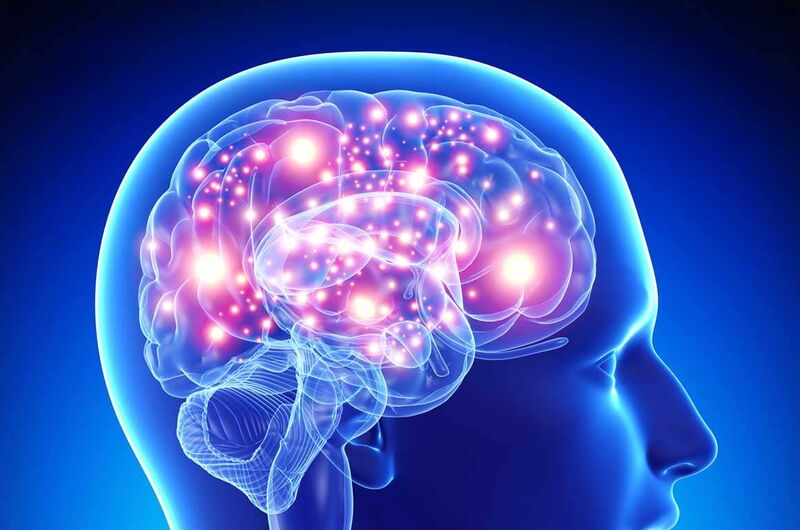 Pregnenolon – die Mutter aller Steroide Pregnenolon – die Mutter aller Steroide