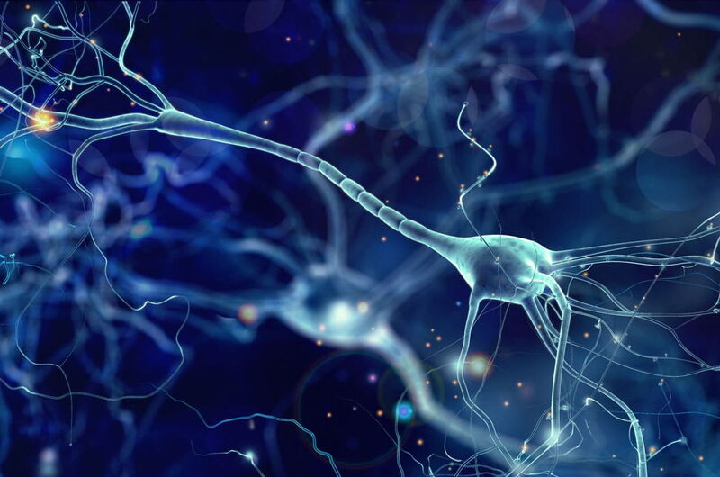 Hormone und ihre Funktionen Hormone und ihre Funktionen